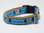 French Bulldog Motiv, Halsband 20mm breit mit Klickverschluss