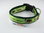 Australian Shepherd Motiv, Halsband 25mm breit, Farbe: dunkel grün