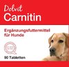 Carnitin für mehr Vitalität, Kraft, Ausdauer bei Hunden | 90 Tabl