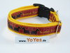 Scottish Terrier Motiv, Halsband 20mm breit mit Klickverschluss, gelb