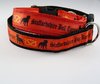 Staffordshire Bull Terrier Motiv, Halsband 30mm breit mit Klickverschluss