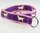 Golden Retriever Motiv violett, Halsband 25mm breit mit Zugstopp