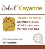 Cayenne - Stoppt das Kotfressen beim Hund, 90 Tabl.