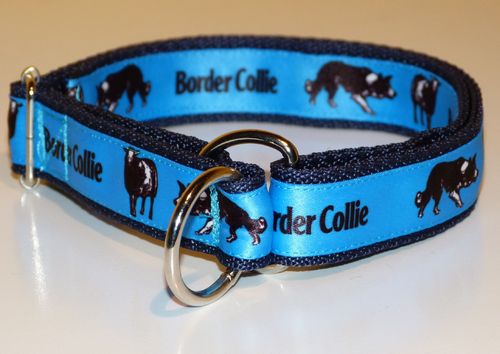 Border Collie Motivband blau - Halsband mit Zugstopp 25mm breit