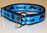 Border Collie Motivband blau - Halsband mit Zugstopp 25mm breit